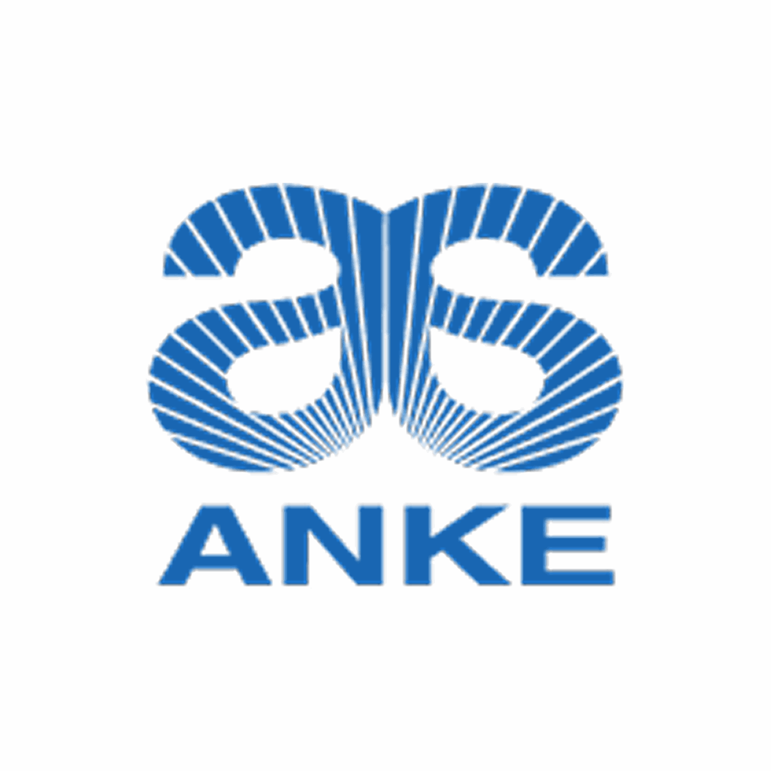 ANKE